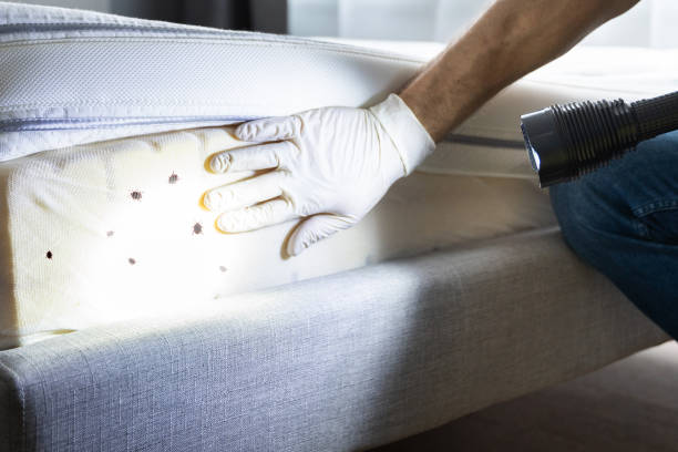 Best Pest Control Near Me  in Onsted, MI