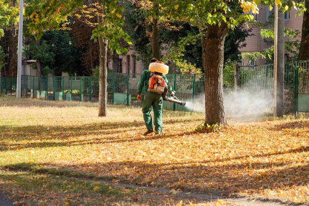 Best Mosquito Control Services  in Onsted, MI