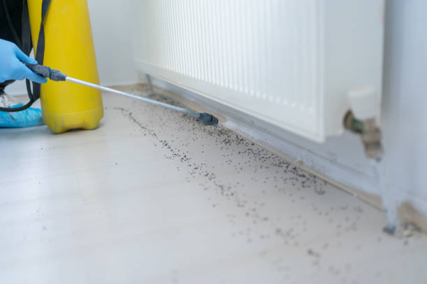Best Best Pest Control Companies  in Onsted, MI