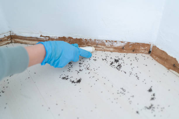Best Exterminator Services  in Onsted, MI