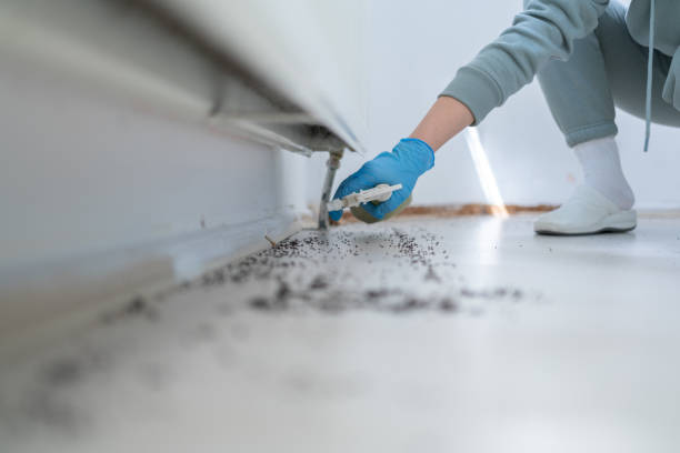 Trusted Onsted, MI Pest Control Experts
