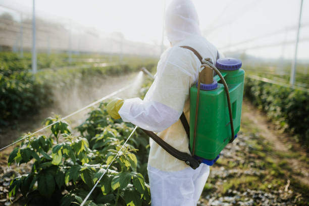 Best Affordable Pest Control Services  in Onsted, MI